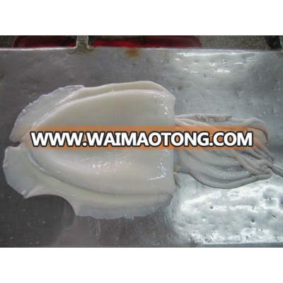 High Quality Whole Round Cleaned Cuttlefish